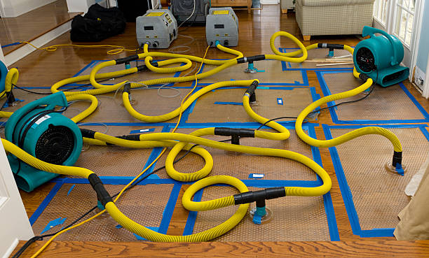 Professional Storm Water Damage Restoration technician working in Sidney, NE